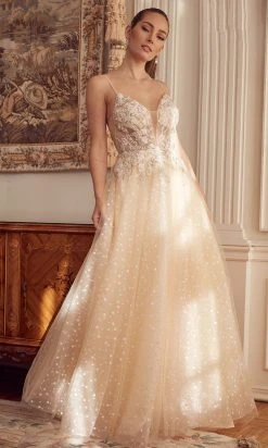 Nox Anabel E1002 - Sheer Embroidered Evening Gown