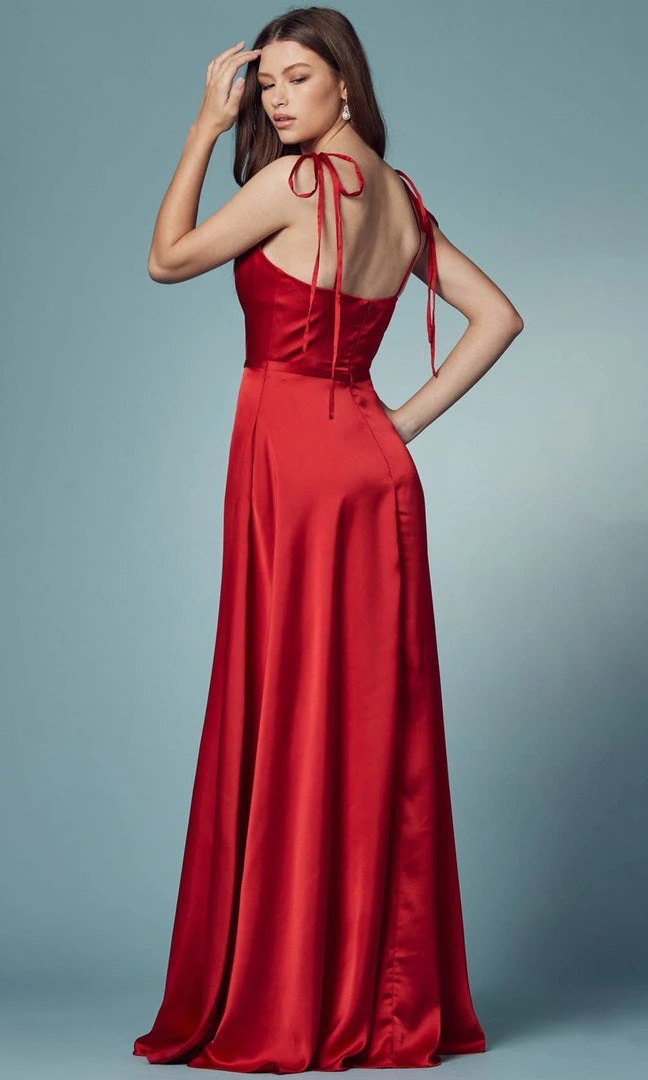 Nox Anabel R1029 - Tie Strap A-Line Prom Dress 11 Nox Anabel R1029 - Tie Strap A-Line Prom Dress