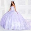 Princesa By Ariana Vara PR12265 - Jewel Lace Ballgown 2 Princesa By Ariana Vara PR12265 - Jewel Lace Ballgown