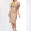 Social Occasions By Mon Cheri - Off-Shoulder Corded Lace Dress 218810